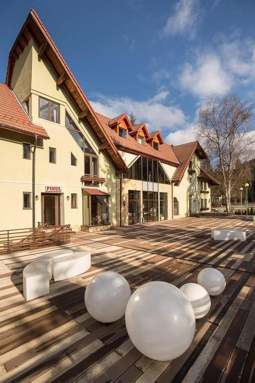 Hotel Vila Pinul Si Mesteacanul Poiana Brașov Exterior foto
